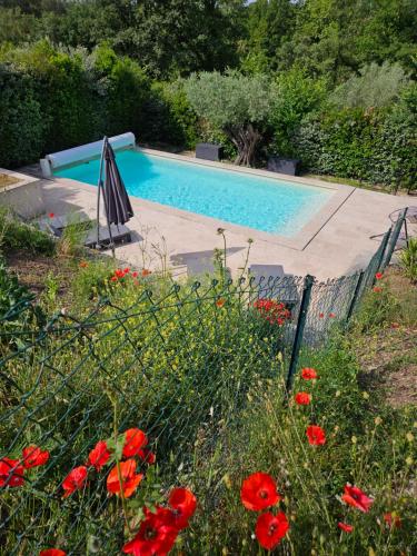 une piscine dans un jardin avec des fleurs rouges dans l'établissement Belle Maison Familiale 6 ou 8 personnes avec piscine, à Montauroux