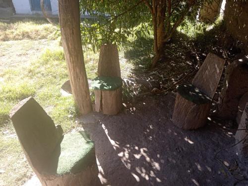 a group of tree stumps sitting in the grass at Casa de campo hospedaje RyM in Sicuani