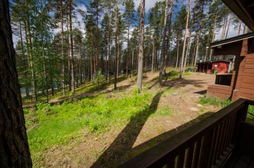 desde el porche de un patio con árboles en Ahvenlampi Camping Hostel, en Saarijärvi