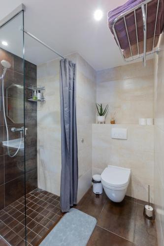 a bathroom with a toilet and a glass shower at Aida City Center Apartment in Pärnu