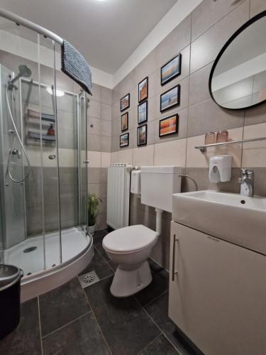 W łazience znajduje się toaleta, prysznic i umywalka. w obiekcie FRIZ&FANY Postojna City Center w mieście Postojna
