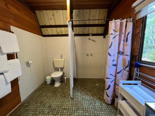 a bathroom with a toilet and a shower at Grevillea at Porongurup Chalets in Porongurup