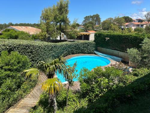 une piscine dans un jardin avec un palmier dans l'établissement Unique Pool Villa 500m from the beach, Hamptons Style with beautiful Garden, à Moliets-et-Maa