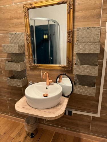 a bathroom with a sink and a mirror at Zur Baumwolle in Nürnberg