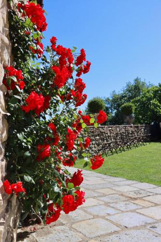 a bush of red flowers on a stone wall at Castello di Viano in Viano