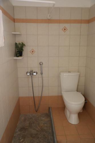 a bathroom with a toilet with a shower in it at Panormos Apartments in Panormos