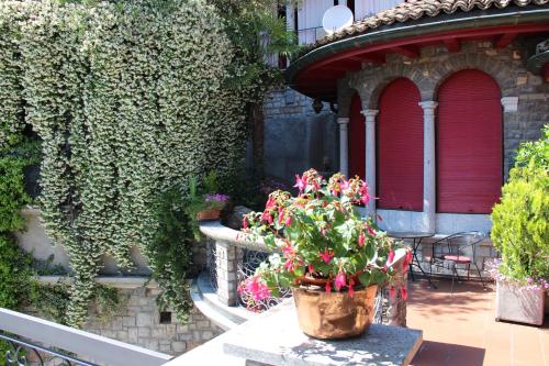 a potted plant sitting on a table on a patio at Barony Le Pergole holiday apartments Lugano in Lugano