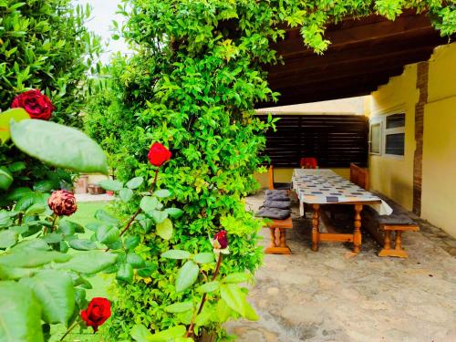 a patio with a table and red roses at Casa rural Cal Codina in Prats de Rey