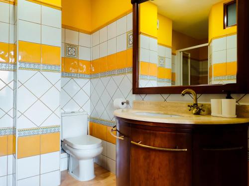 a bathroom with a toilet and a sink and a mirror at Casa rural Cal Codina in Prats de Rey