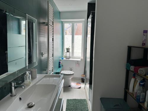 a bathroom with a sink and a toilet and a mirror at L'APPARTEMENT BOULONNAIS in Boulogne-sur-Mer