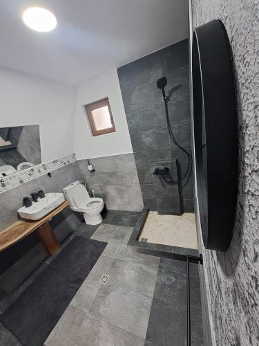 a bathroom with a shower and a toilet and a sink at Cabană A-Frame Bran Chalet in Sohodol