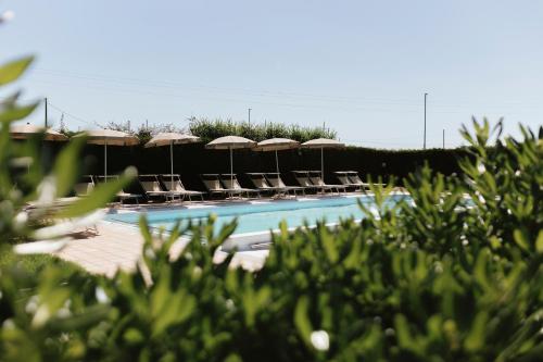 einen Pool mit Stühlen und Sonnenschirmen in der Unterkunft Villa Chiara Porto Recanati in Porto Recanati