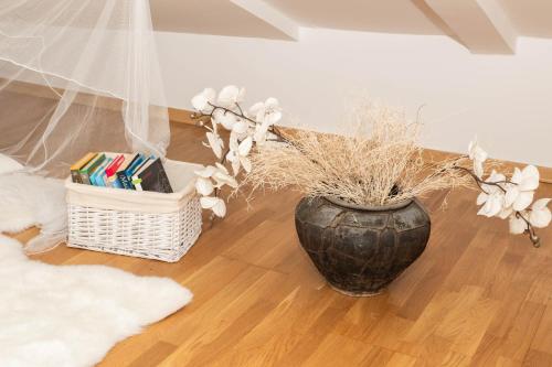 Fotografie z fotogalerie ubytování Bed and Brekfast Donatella v destinaci Piran