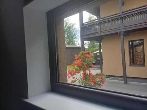 a window view of a red plant in front of a building at Lambertu ielas rezidence in Mārupe