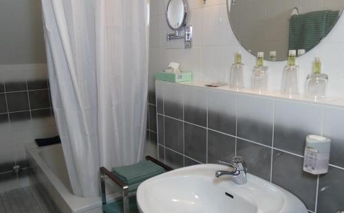 a bathroom with a sink and a mirror and a shower at Zenner's Landhotel in Newel