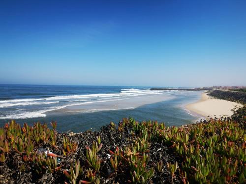 Plage de la maison de vacances ou située à proximité