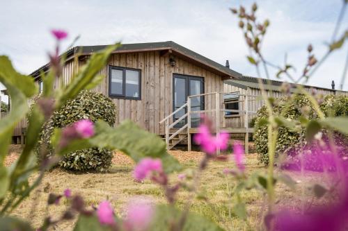 a wooden house with a yard with flowers at East Chalet At Tapnell Farm in Yarmouth