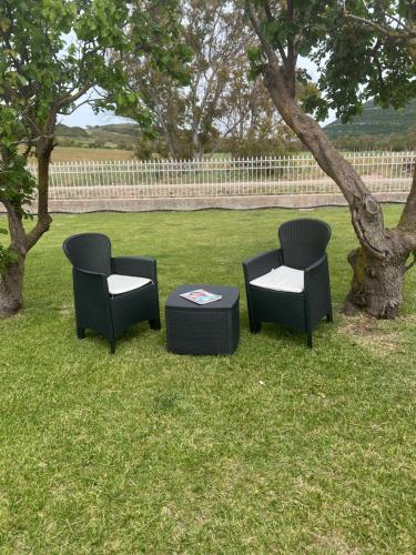 tres sillas y una mesa bajo un árbol en The Arches House IUN F1092, en Alghero