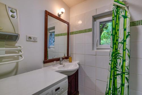 un bagno con lavandino e specchio di Gîte Gaia a Poussan