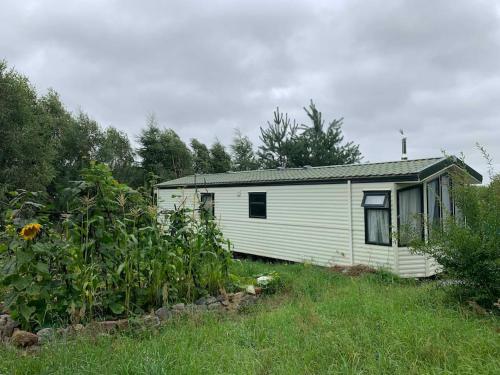 a small white house in the middle of a field at Domek holenderski Jasnotka in Gołubie