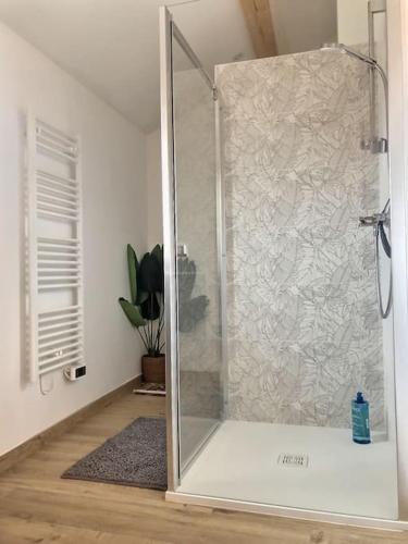 une douche avec une porte vitrée dans une salle de bain dans l'établissement Charme et quiétude au coeur du quartier Tiret, à Ambérieu-en-Bugey