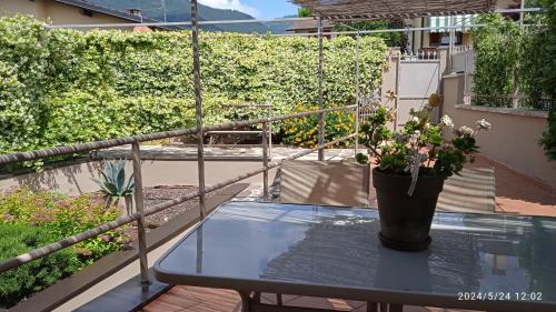 a potted plant sitting on a glass table on a balcony at Appartamento seminterrato Villa Sveva Franciacorta in Ome