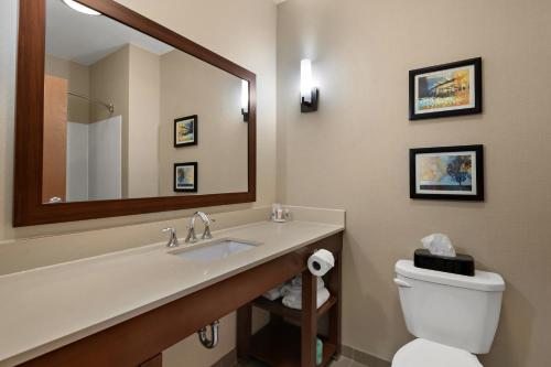 un bagno con lavandino, WC e specchio di Comfort Suites Hummelstown - Hershey a Hummelstown