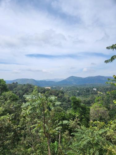Un paisaje natural cerca del departamento