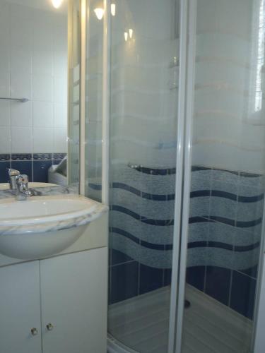 une salle de bain avec une douche et un lavabo et un lavabo dans l'établissement APPT 2 PIECES 28m2 + LOGGIA 7m2 REF 4013, à Le Castellas