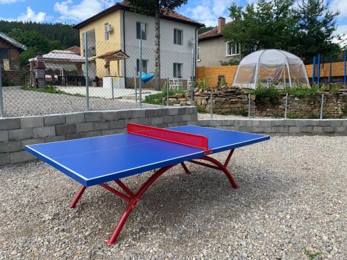a blue and red ping pong table in a yard at Lipite Guest House 