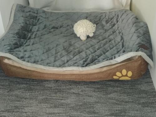 a dog bed with a comforter on top of it at Apartman Arena in Štrigova