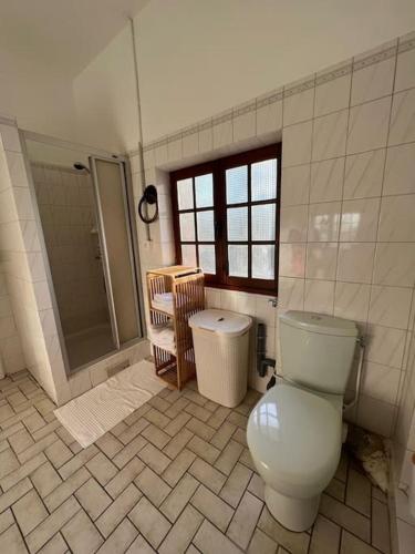 une salle de bain avec toilettes et douche dans l'établissement Maison Cosy Sevran Paris CDG, à Sevran