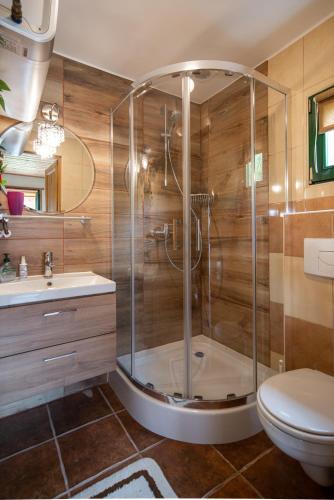 a bathroom with a shower and a toilet at Chatki u Stefana in Zastań
