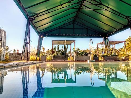 a swimming pool with a green roof and some water at Amanzi Termal Rental in Concordia