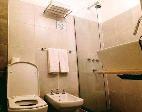 W łazience znajduje się toaleta, umywalka i prysznic. w obiekcie Amanzi Termal Rental w mieście Concordia