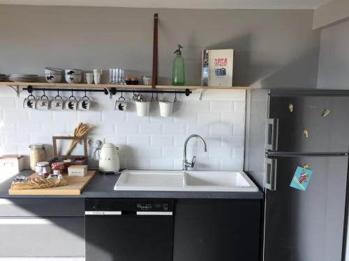 une cuisine avec un évier et un réfrigérateur dans l'établissement Le chalet des voiles, à Talloires