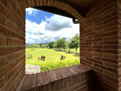 a brick wall with a window looking at horses in a field at Agriturismo LeGi Toscana in Pietraviva