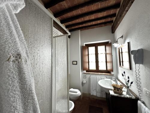 a bathroom with a shower and a toilet and a sink at Agriturismo LeGi Toscana in Pietraviva