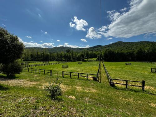 a fence in a field with horses in it at Agriturismo LeGi Toscana in Pietraviva