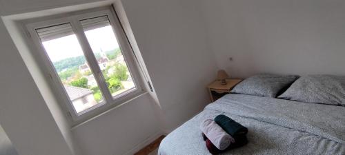 niewielka sypialnia z łóżkiem i oknem w obiekcie La Hasel w mieście Oberhaslach