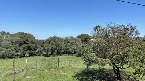 a field with a fence and trees in the background at Mas Pigem in Pals