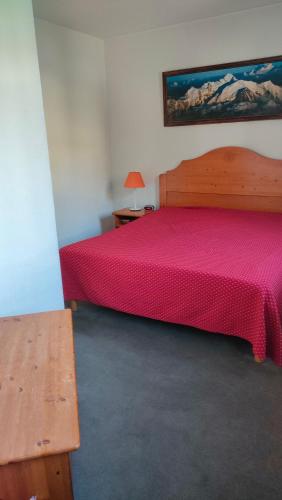 charmant appartement 2-4 personnes coeur de chamonix photo 14