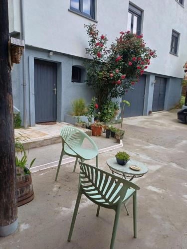 a patio with two chairs and a table and a plant at Le Gite de Mamou, grande capacité proche de Strasbourg in Uhlwiller