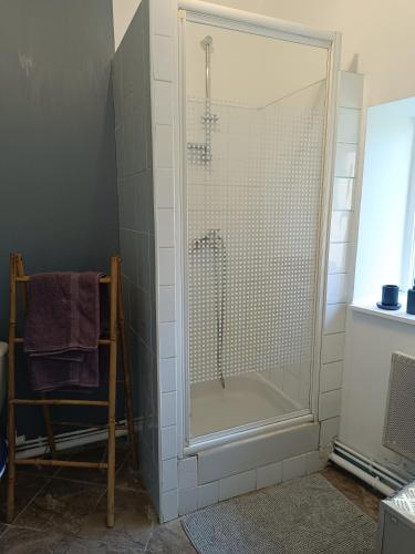 une douche avec une porte vitrée dans une salle de bain dans l'établissement Le Chatillon avec Jardin 2 km Plage Wimereux, à Wimille