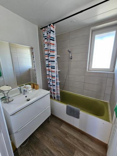 La salle de bains est pourvue d'un lavabo, d'une baignoire et d'une fenêtre. dans l'établissement Nid douillet palois vue Pyrénées - Parking, à Pau