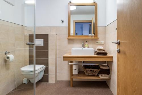 a bathroom with a toilet and a sink and a mirror at Feriennest Leitner in Maria Alm am Steinernen Meer