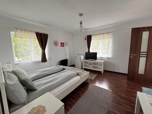 - une chambre avec un lit, une télévision et des fenêtres dans l'établissement Country House Hățăgel, à Hăţăgel