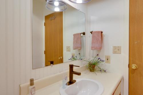a bathroom with a sink and a large mirror at Pet-Friendly Oak Harbor Condo Walk to Lake! in Sand Beach