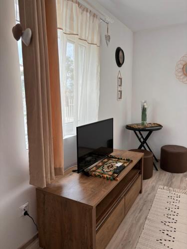 a living room with a flat screen tv on a wooden table at Country House Hățăgel in Hăţăgel