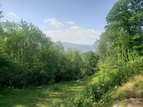 un sentier dans les bois avec des montagnes en arrière-plan dans l'établissement La forge, à Escaro